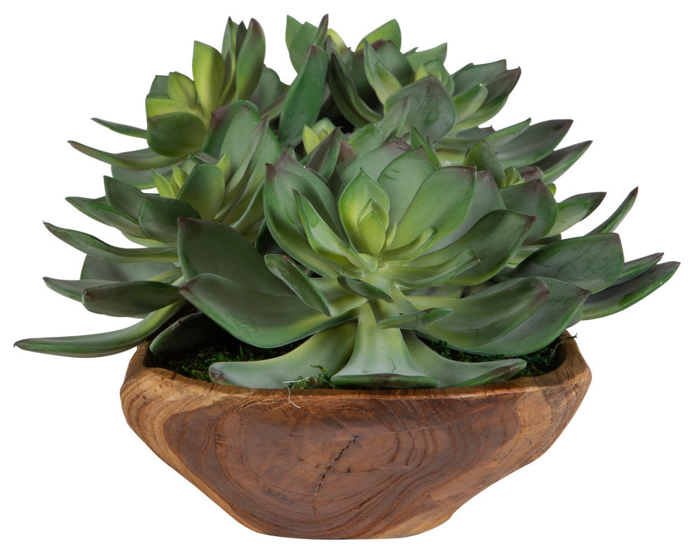 Uttermost Yuma Succulent Centerpieces