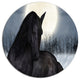 Black Horse In Moonlight, Animal Disc Metal Wall Art, 11"