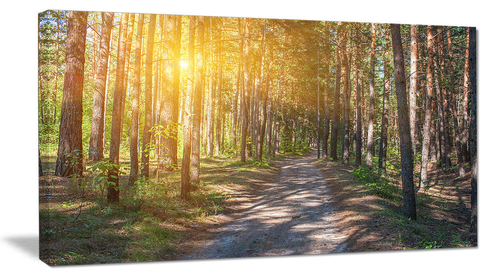 "Thick Forest With Yellow Sun Rays" Photograph Print, 32"x16"
