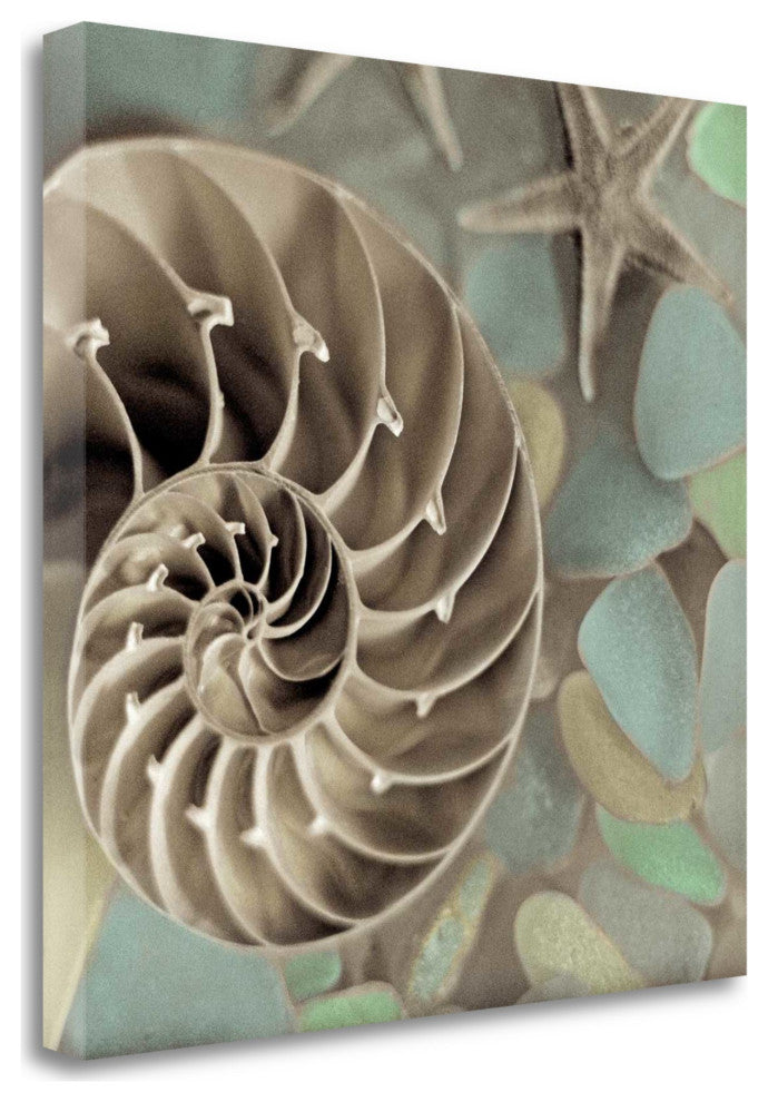 14" Snailshell and Seaglass 4 Giclee Wrap Canvas Wall Art