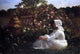 Abbott Fuller Graves In a Field of Flowers, 18"x27" Wall Decal