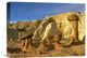 "Toadstool Caprocks, Grand Staircase, Escalante National Monument, Utah" Artwork