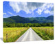Sparks Lane in Cades Cove, Landscape Canvas Art Print, 40"x30"