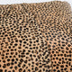 Leopard 100% Cow Hide 20" Throw Pillow in Animal Print by Kosas Home