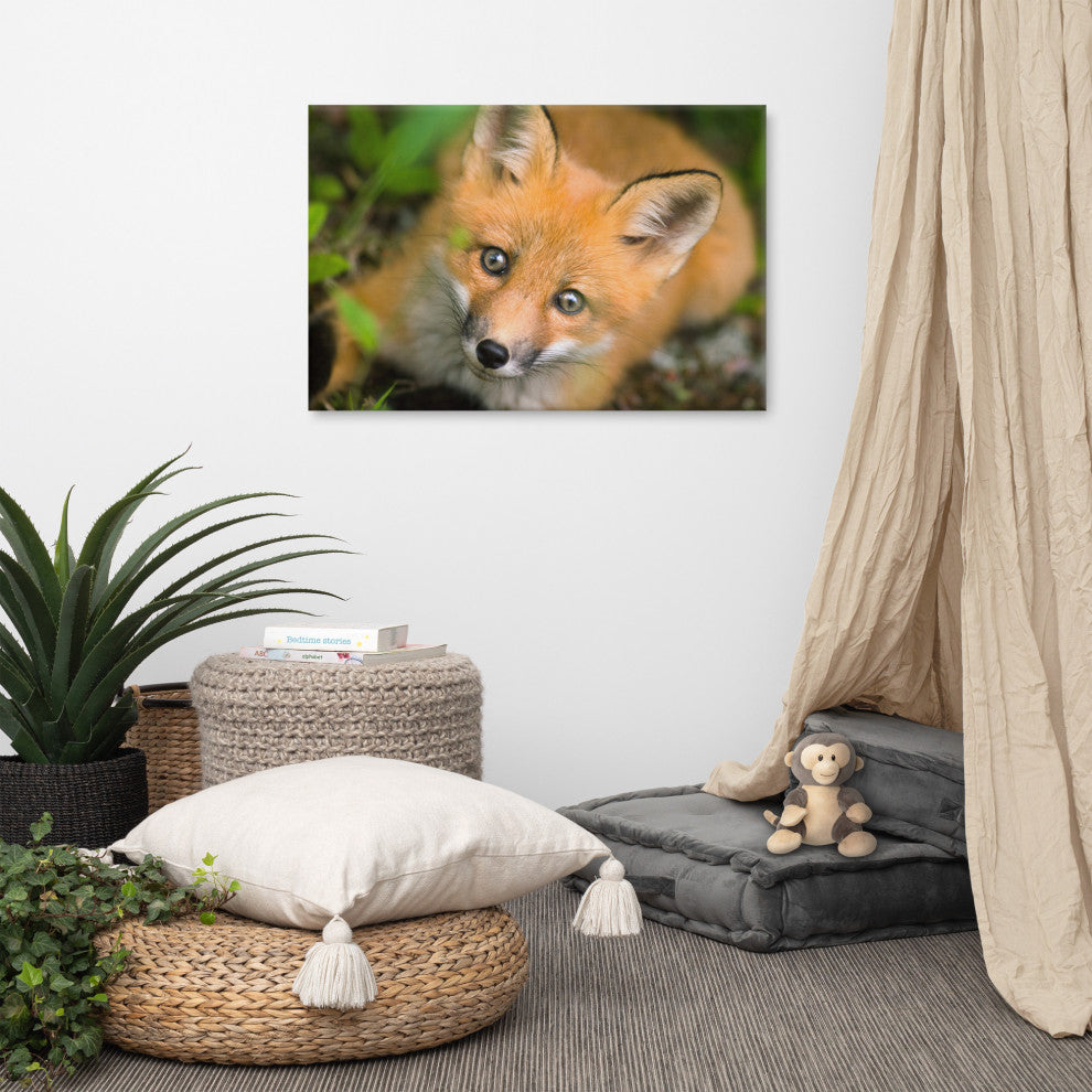 Young Red Fox Face Animal Wildlife Nature Photograph Canvas Wall Art Prints, 24" X 36"