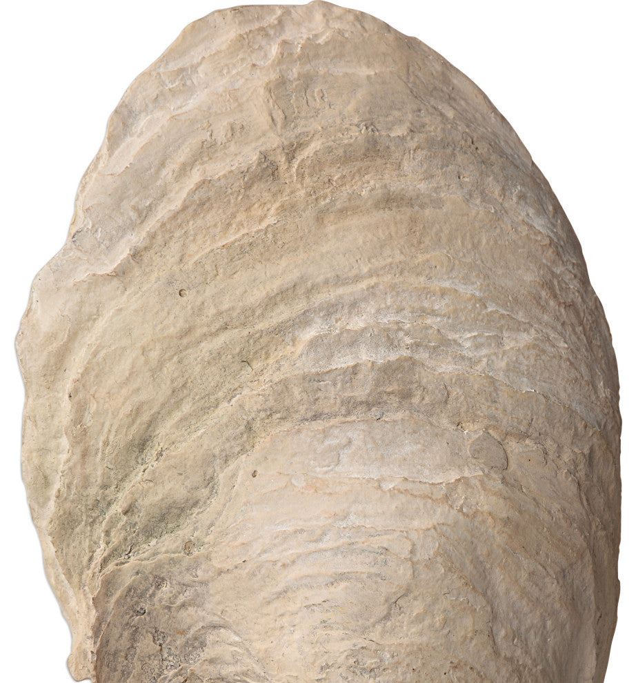 Luxe Coastal Ivory Oyster Sea Shell Sculpture 2-Piece Set