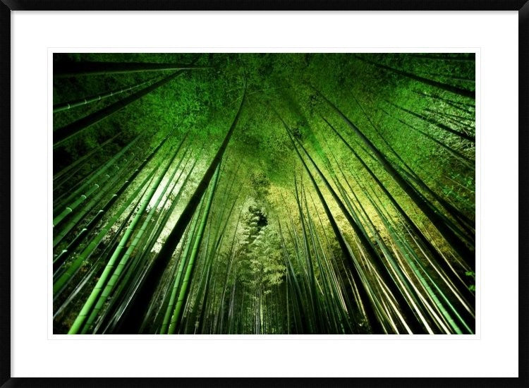 "Bamboo Night" Framed Digital Print by Takeshi Marumoto, 38"x28"