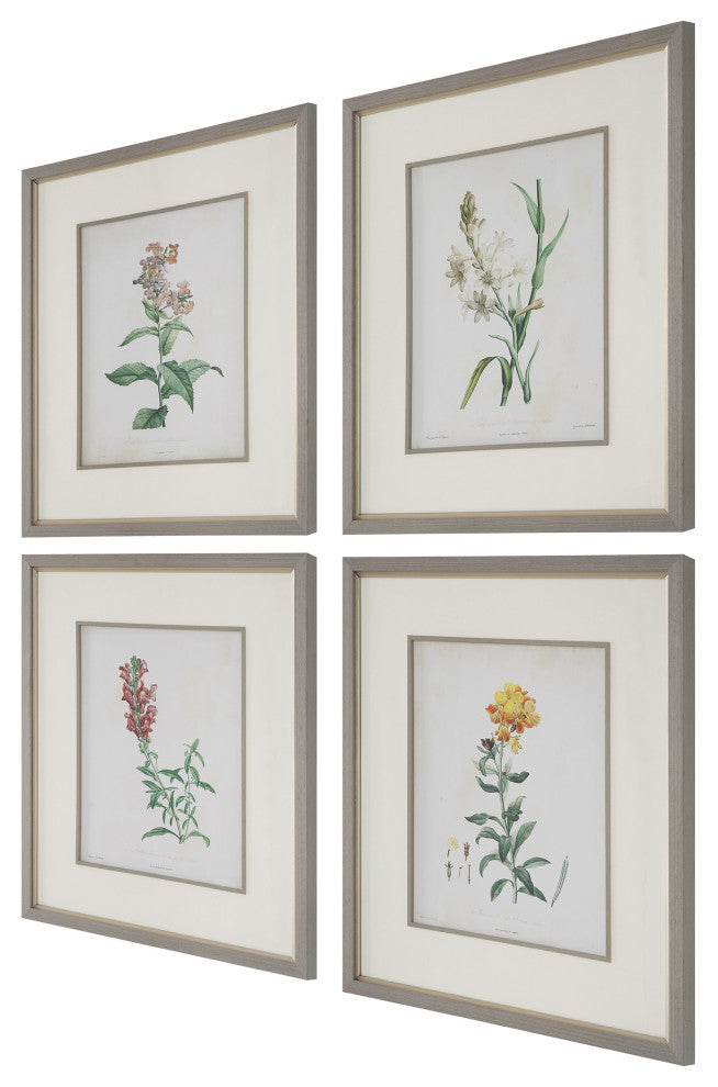 Uttermost 32285 Heirloom Blooms Study Framed Prints 4-Piece Set