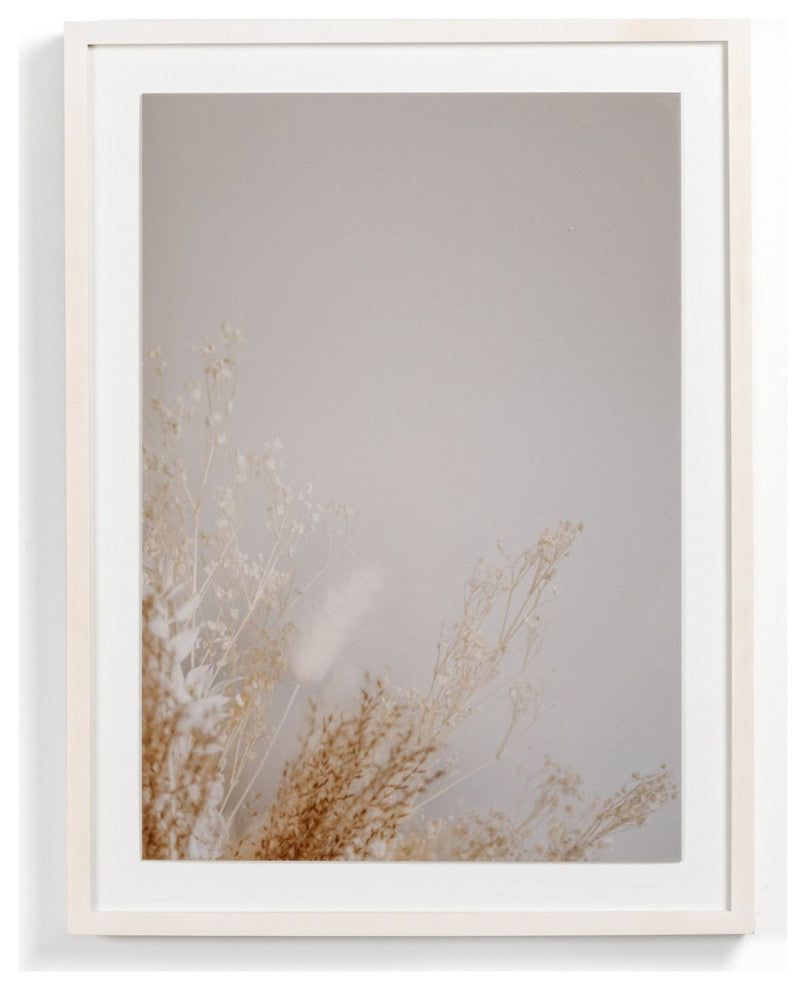 Dried Floral Ii By Annie Spratt