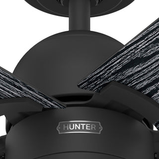 Erling Ceiling Fan, LED Light Kit and Pull Chain, Matte Black, 44"