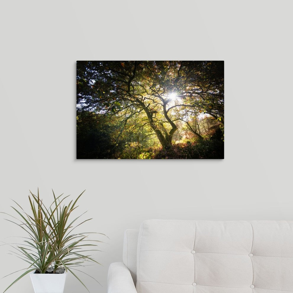 "Light" Wrapped Canvas Art Print, 24"x16"x1.5"