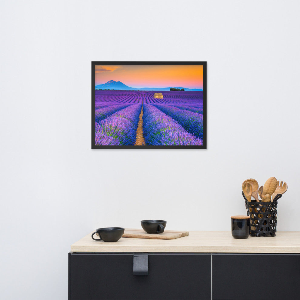 Blooming Lavender Field and Sunset Floral Landscape Framed Photo Wall Art Prints, Black, 18" X 24"