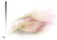 "Touching" Stretched Canvas Giclee by Stefan Eisele, 30"x20"