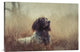 "Beautiful Aragorn" Stretched Canvas Giclee by Heike Willers, 30"x20"