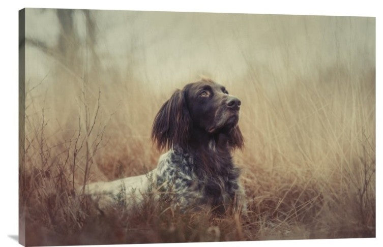 "Beautiful Aragorn" Stretched Canvas Giclee by Heike Willers, 30"x20"