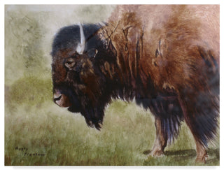 Rusty Frentner 'Buffalo' Canvas Art, 47"x35"