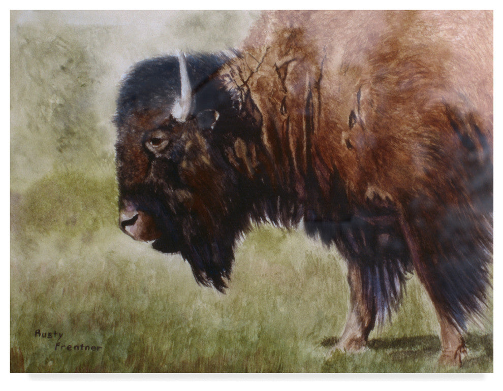 Rusty Frentner 'Buffalo' Canvas Art, 47"x35"