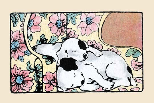 Napping Fox Terrier Dogs- Canvas Poster 20" x 30"