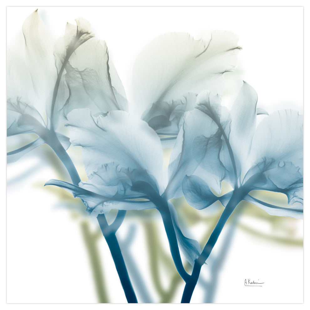 "Unfocused Beauty3"Frameless Free Floating Panel Graphic Wall Art, 24"x24"