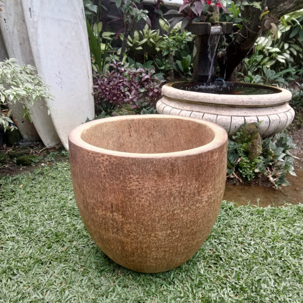 Coconut Palm Pot Short