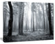 Black and White Foggy Forest, Forest Canvas Art Print, 40"x30"