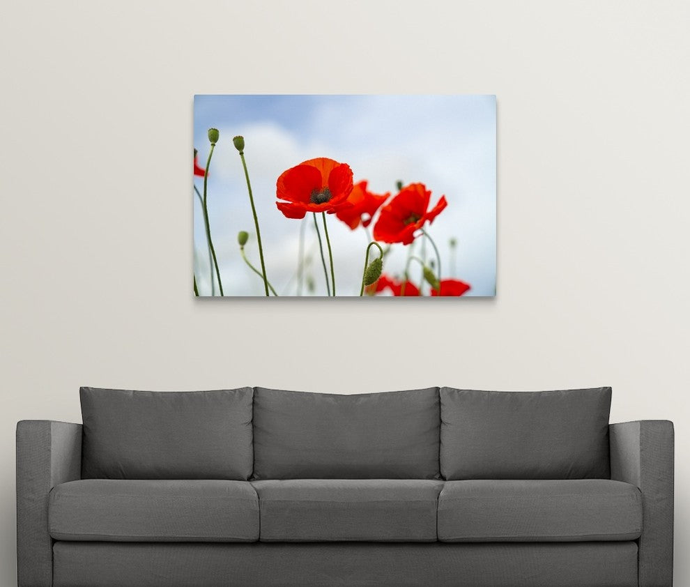 "Simplicity" Wrapped Canvas Art Print, 48"x32"x1.5"
