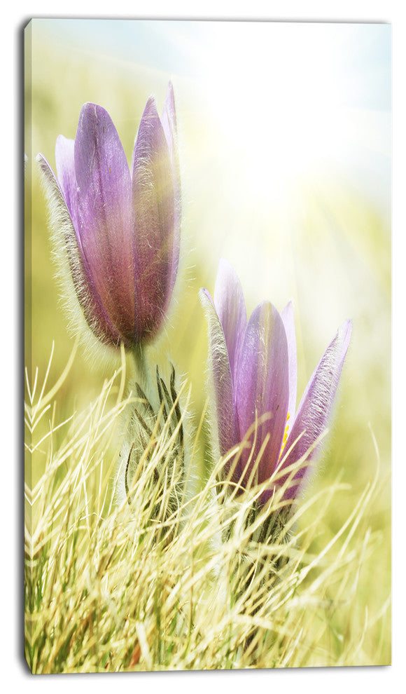 Large Purple Flowers in Green Grass, Floral Canvas Art Print, 16"x32"