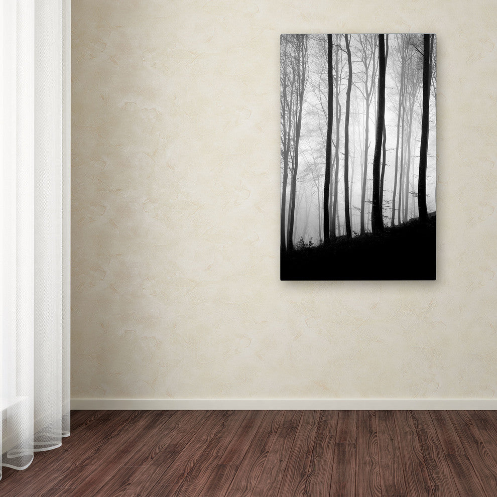 'Black Lines' Canvas Art by Philippe Sainte-Laudy