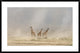 "Weathering The Amboseli Dust Devils"  by Jeffrey C. Sink, 44x29"
