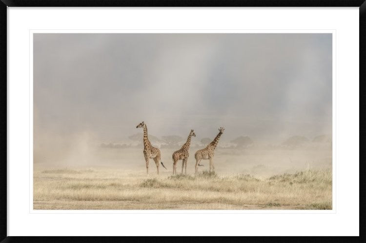 "Weathering The Amboseli Dust Devils"  by Jeffrey C. Sink, 44x29"