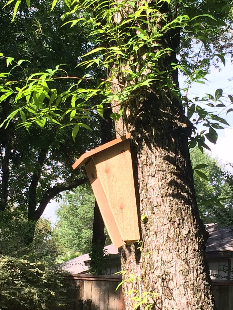 Angled Design Bird House
