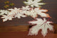 Placemat Embroidered Leaves, Set Of 4