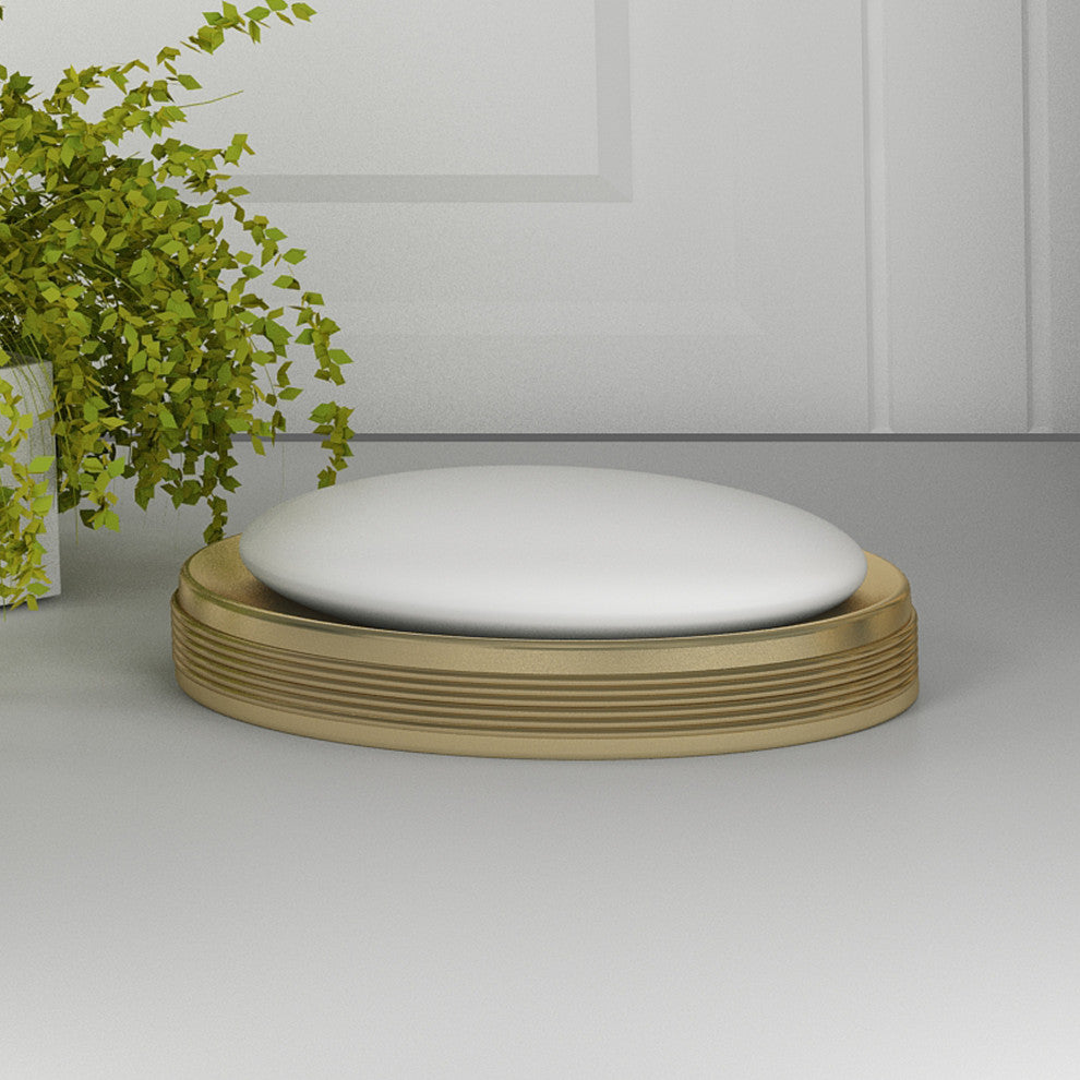 nu steel Jewel Soap Dish