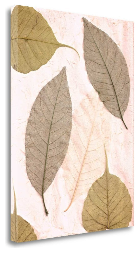 "Floral - 23" By Alan Blaustein, Giclee Print on Gallery Wrap Canvas