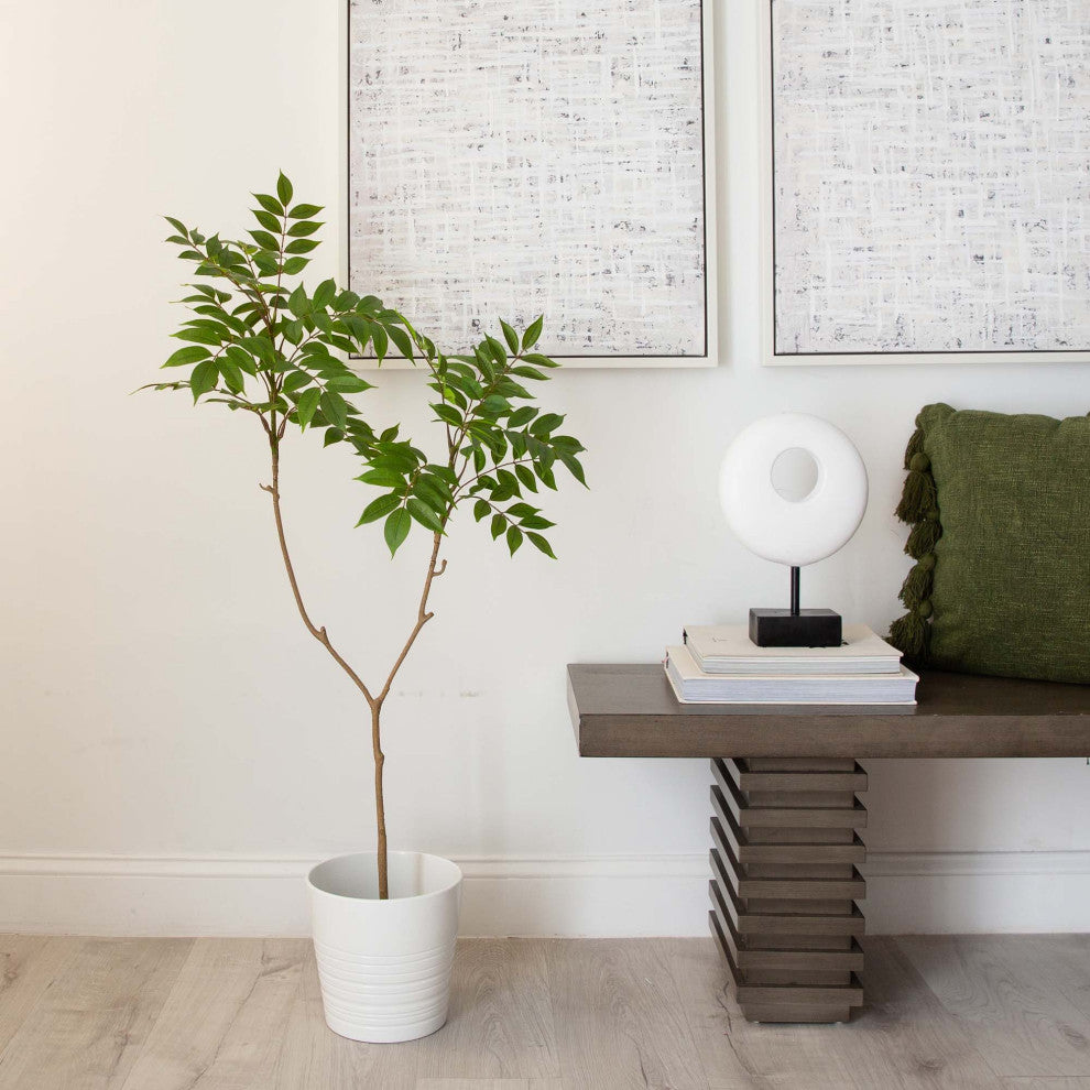 Lifestyle image: another real-environment shot of the plant in a room.