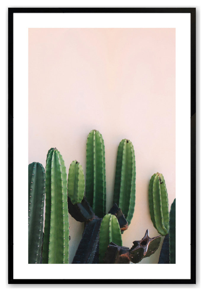 Satin Black 11" x 14" Prickly Beauty Framed Print