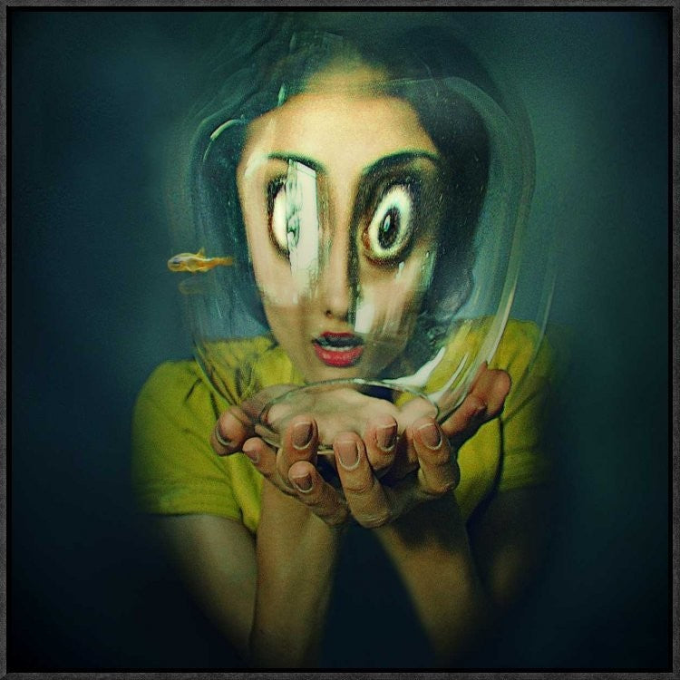 "Untitled" Framed Canvas Giclee by Inga Ivanova, 23x23"