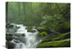"Roaring Fork River In Great Smoky Mountains National Park, Tennessee" Artwork