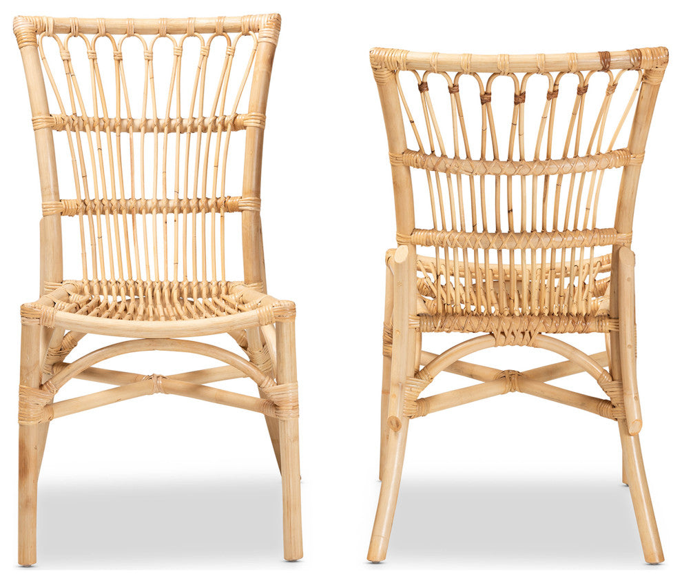 Ammi Modern Bohemian Natural Brown Rattan 2-Piece Dining Chair Set