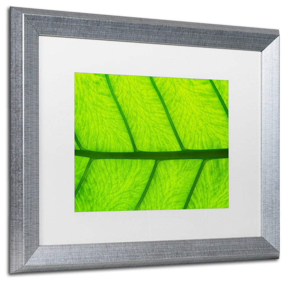 Cora Niele ''Leaf Texture III'' Matted Framed Art