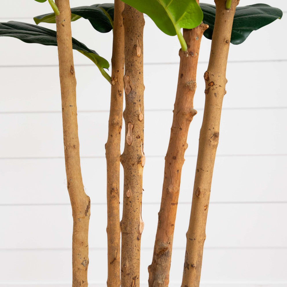Close-up of multiple trunks on white background.