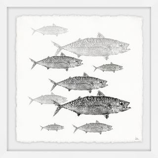 "Freshwater Fish" Framed Painting Print, 32"x32"
