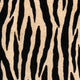 Zippy Zebra Black and Beige Luxury Throw Pillow, 22"x22"