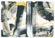 "LPs in 33" Digital Paper Print by Sue Schlabach, 20"x14"
