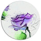 Blue Rose Flowers With Green Leaves, Floral Round Wall Art, 23"
