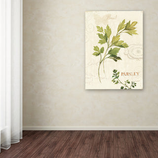 'Aromantique I' Canvas Art by Lisa Audit