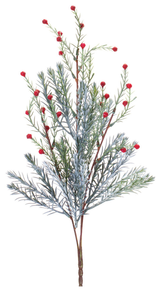 Pine Spray, Set of 12