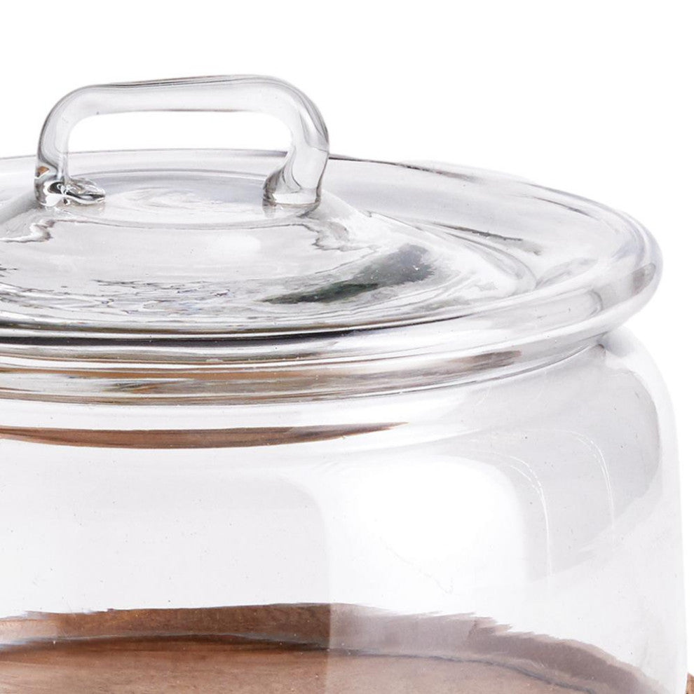 Round Farmhouse Glass Dome Wood Tray Base 12 x 9in Cloche Food Display Terrarium