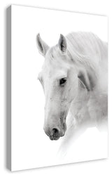 White Horse 24x36 Canvas Wall Art