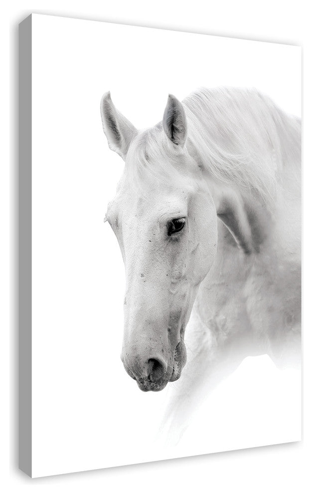 White Horse 24x36 Canvas Wall Art